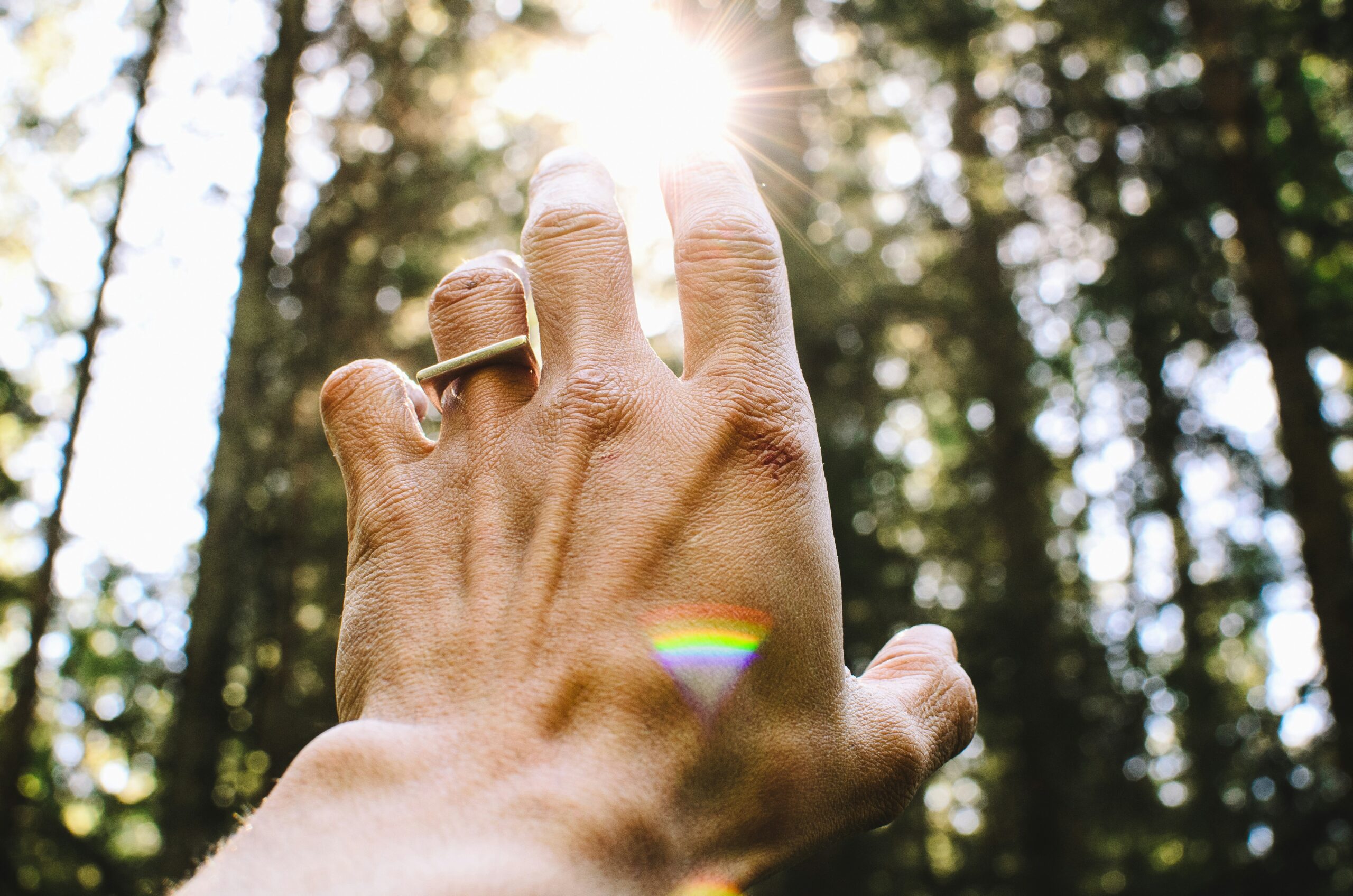 energy healing courses digital